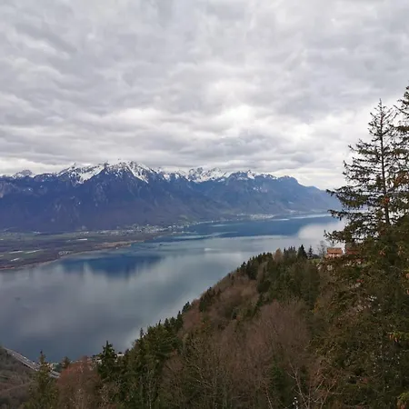 Alpina Caux Montreux