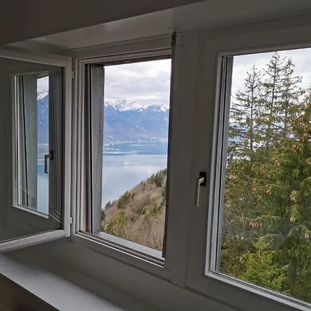 Apartment Alpina Caux