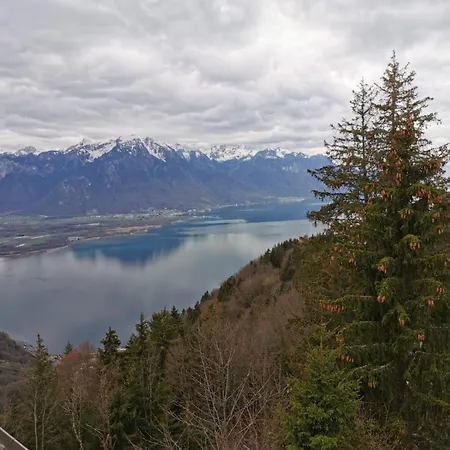 Alpina Caux Apartment Montreux