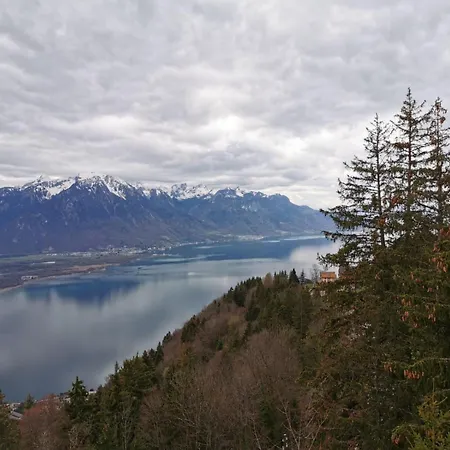 Alpina Caux Apartament Montreux