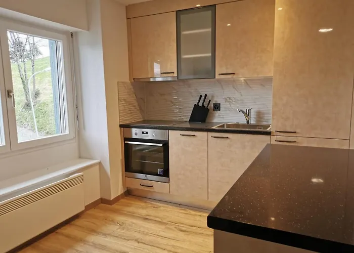 Alpina Caux Apartman Montreux