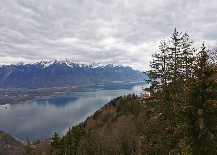 Alpina Caux Apartman Montreux