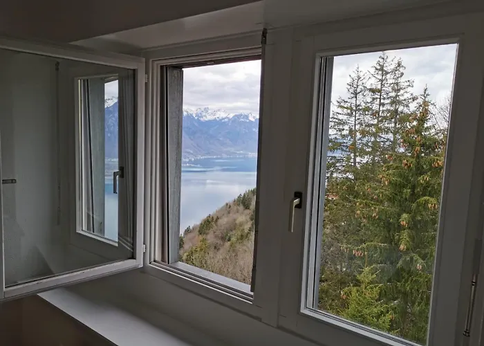 Apartman Alpina Caux