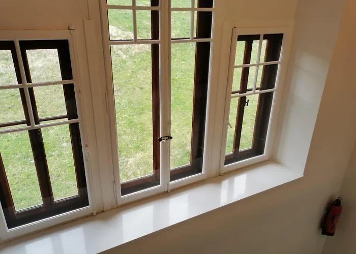 Alpina Caux Apartman *