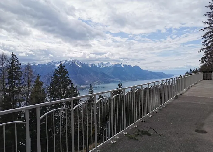 Alpina Caux Apartman Montreux