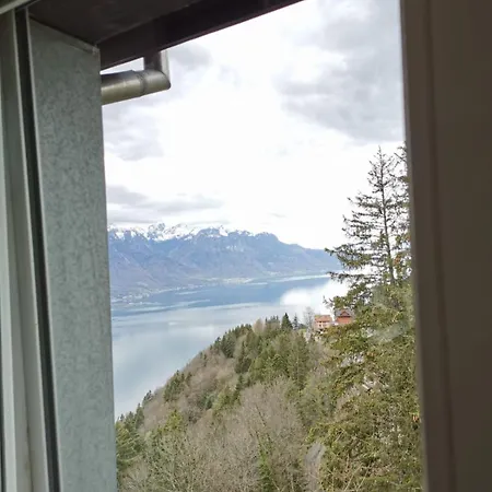 Alpina Caux Appartement