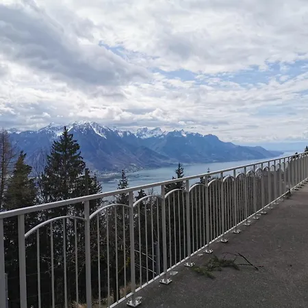Alpina Caux Appartement Montreux