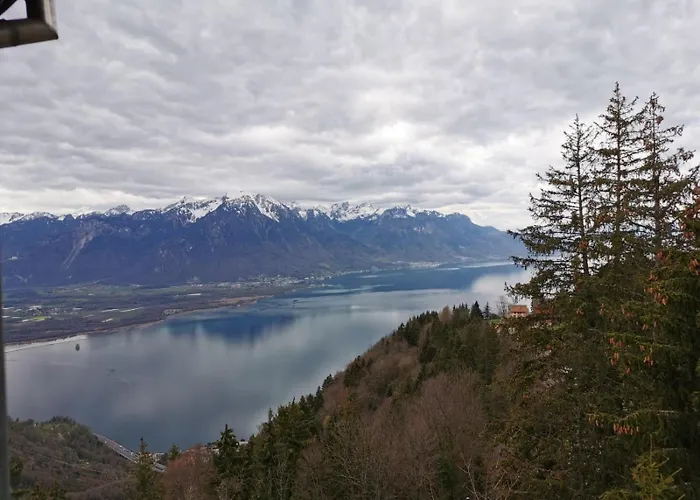 Alpina Caux Montreux