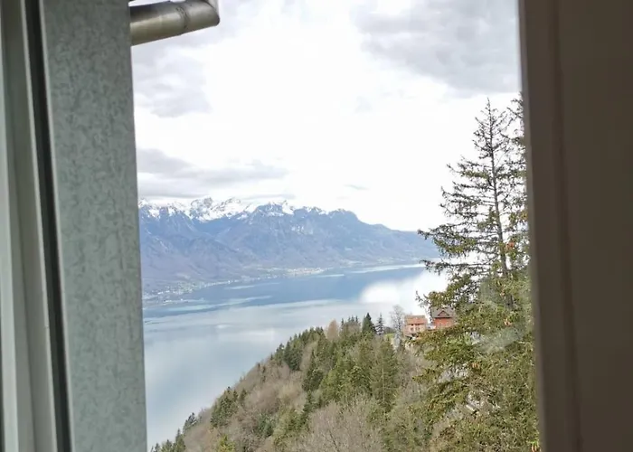 Alpina Caux Lägenhet