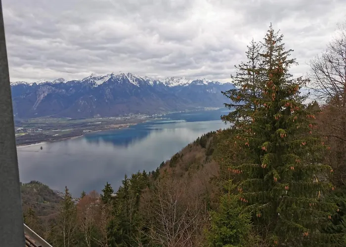 Alpina Caux Lägenhet Montreux