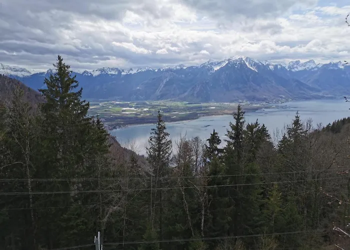 Alpina Caux Montreux